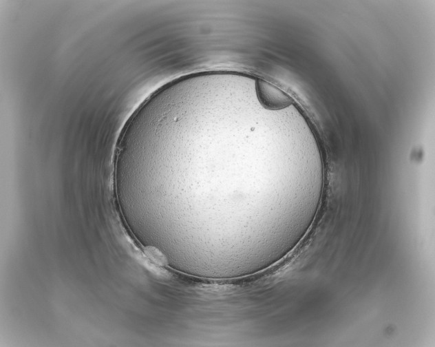 X0000093621236200710291219