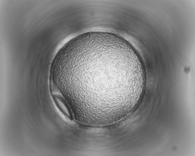 X0000093621237200710291219