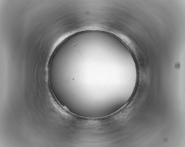 X0000093621238200710291219