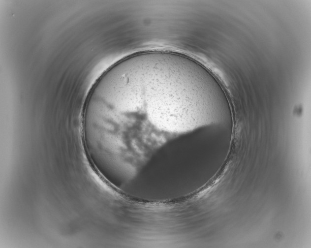 X0000093621239200710291219