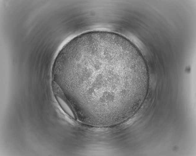 X0000093621240200710291219