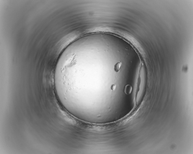 X0000093621241200710291219