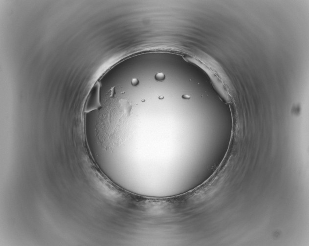 X0000093621242200710291219