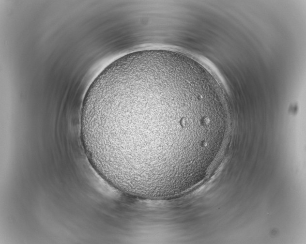 X0000093621244200710291219