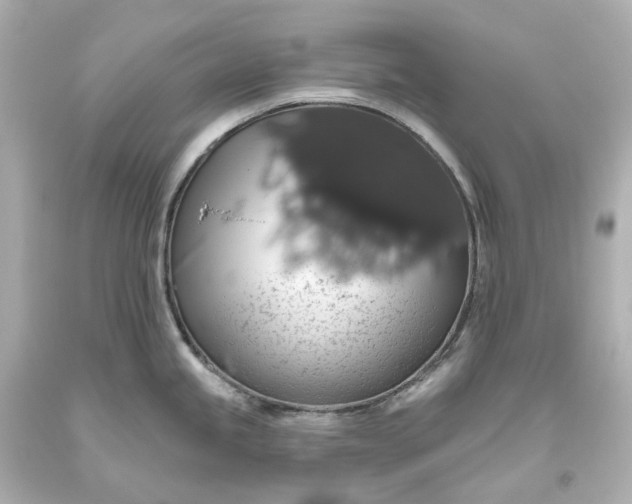 X0000093621245200710291219