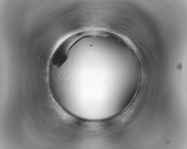 X0000093621246200710291219
