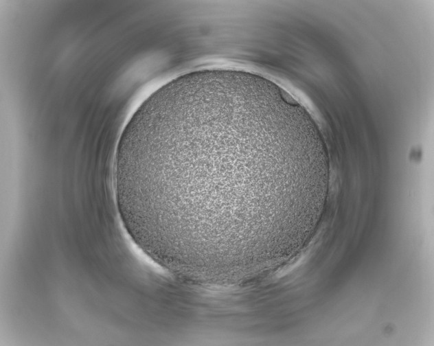 X0000093621247200710291219