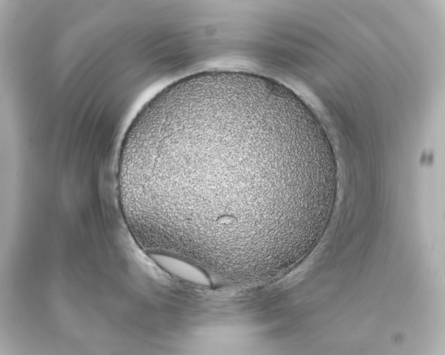X0000093621248200710291219