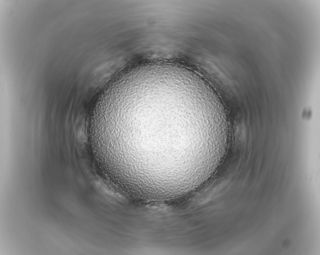 X0000093621250200710291219