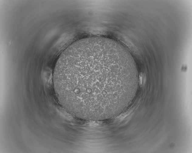 X0000093621251200710291218