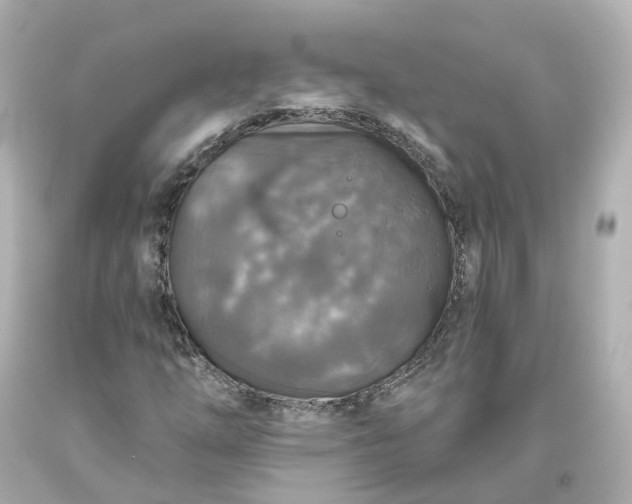 X0000093621254200710291218