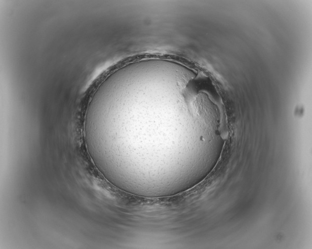 X0000093621256200710291218