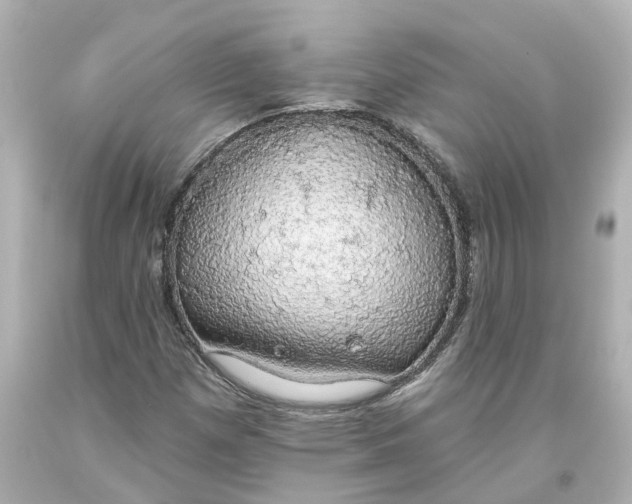X0000093621257200710291218
