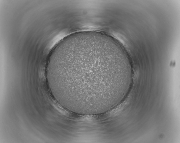X0000093621259200710291218