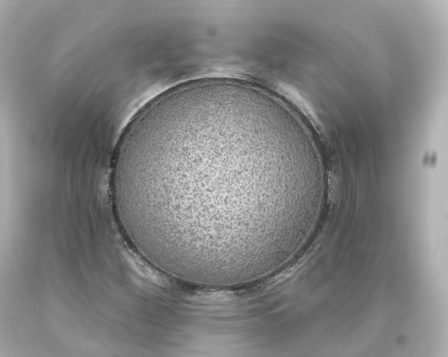 X0000093621260200710291218