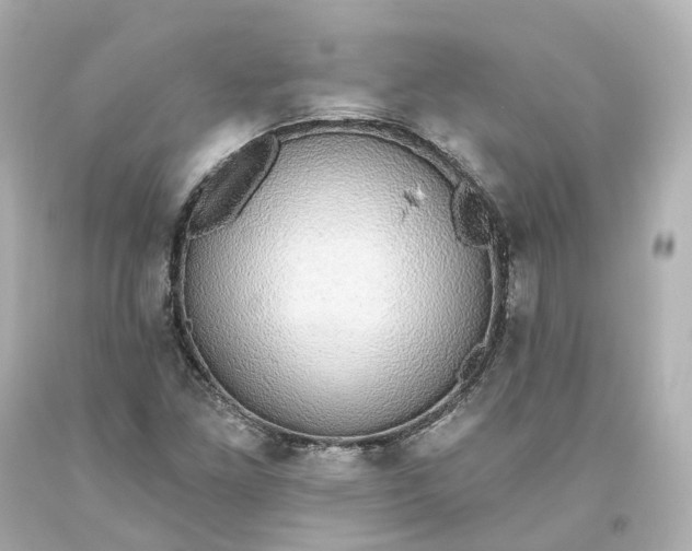 X0000093621261200710291218