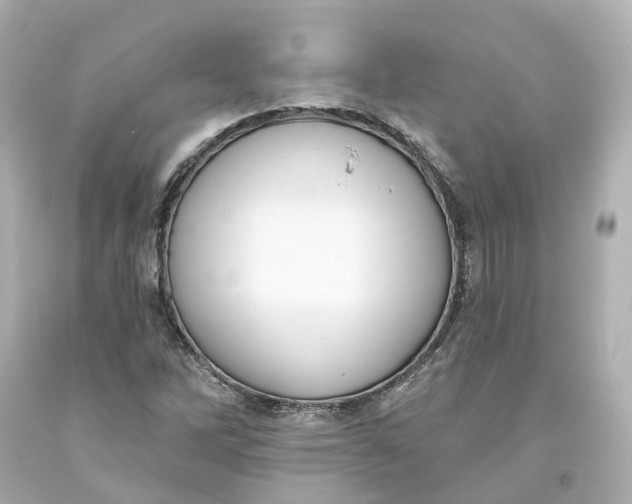 X0000093621262200710291218