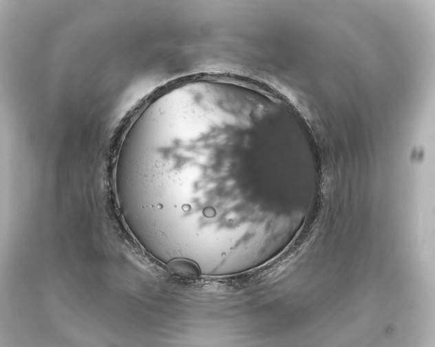 X0000093621263200710291218