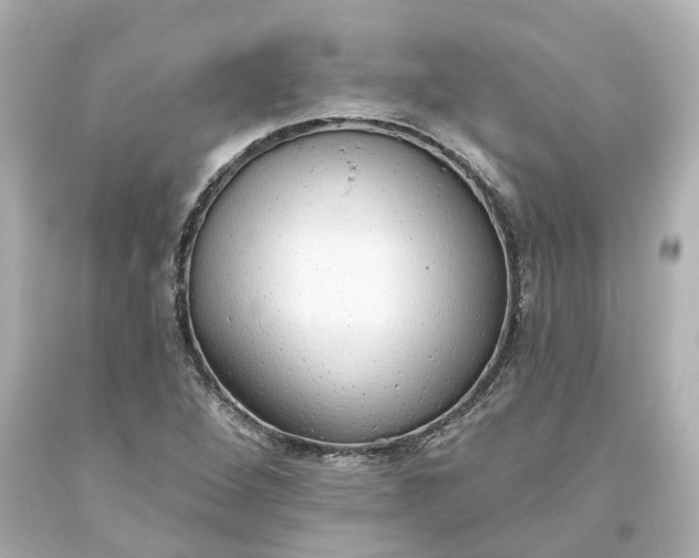 X0000093621264200710291218