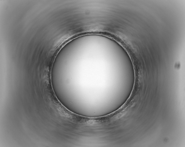 X0000093621265200710291218