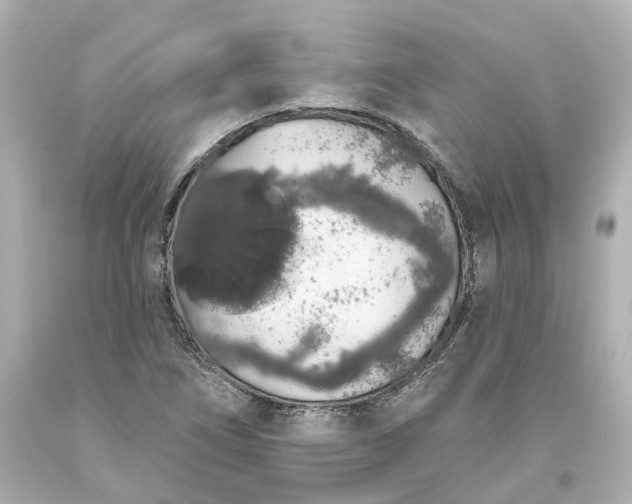 X0000093621266200710291218