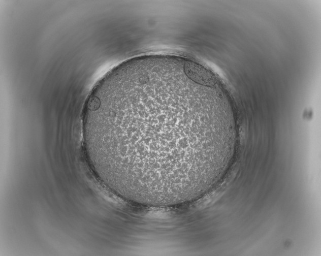 X0000093621267200710291218