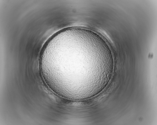 X0000093621268200710291218