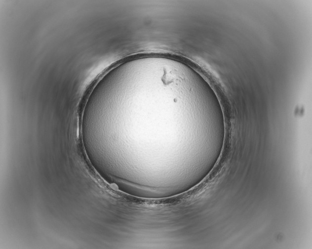X0000093621269200710291218