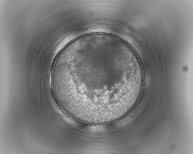 X0000093621274200710291218