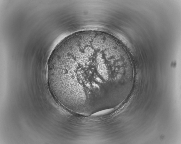 X0000093621275200710291218