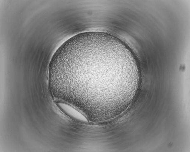 X0000093621276200710291218