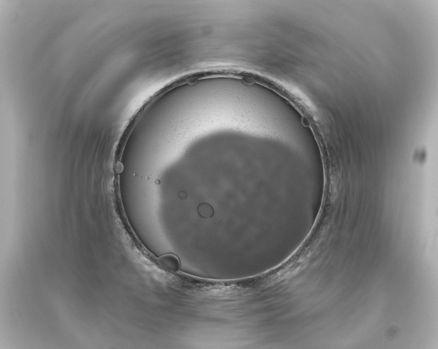 X0000093621279200710291218