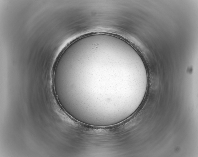 X0000093621280200710291218