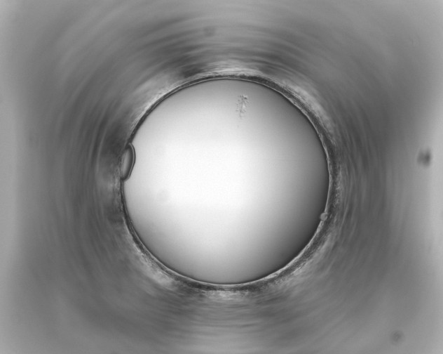 X0000093621281200710291218