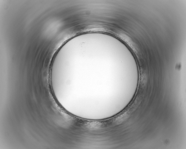 X0000093621282200710291218