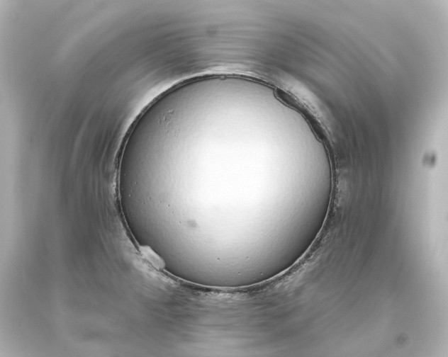 X0000093621284200710291218