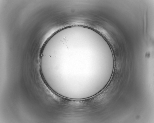 X0000093621286200710291218