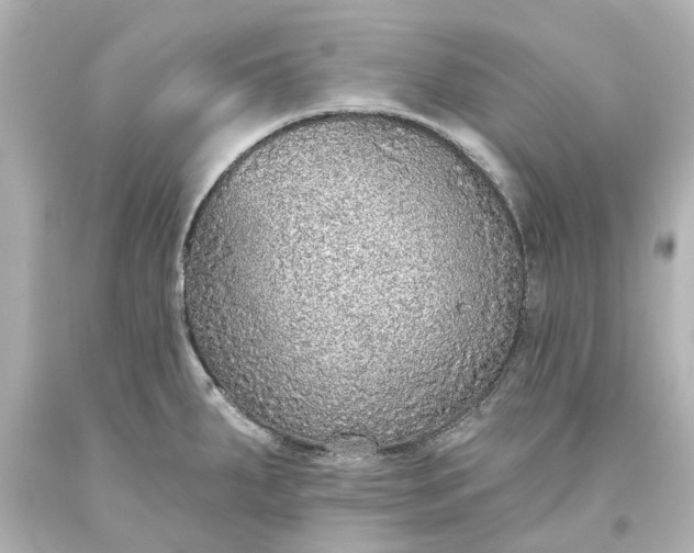 X0000093621287200710291218