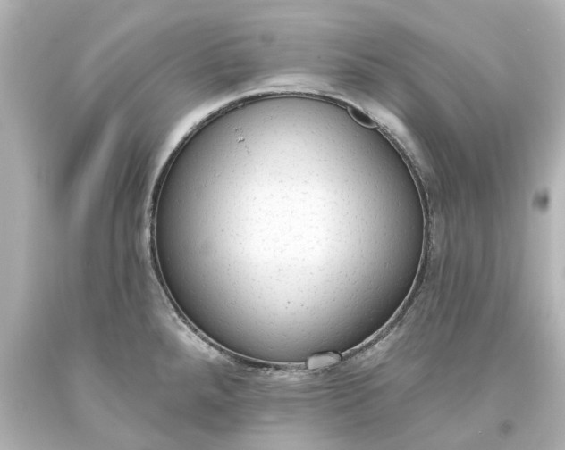 X0000093621288200710291218