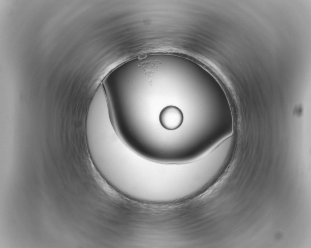 X0000093621289200710291218