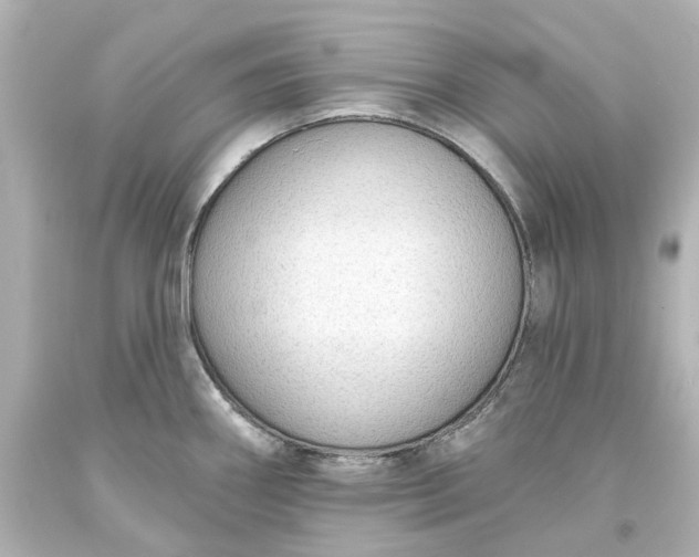 X0000093621290200710291218
