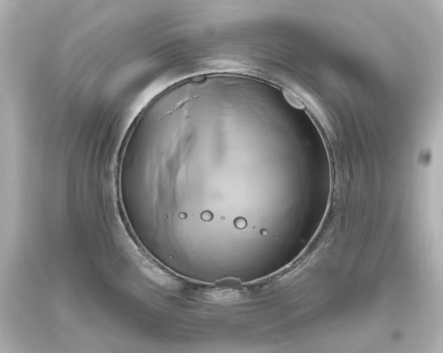 X0000093621291200710291218