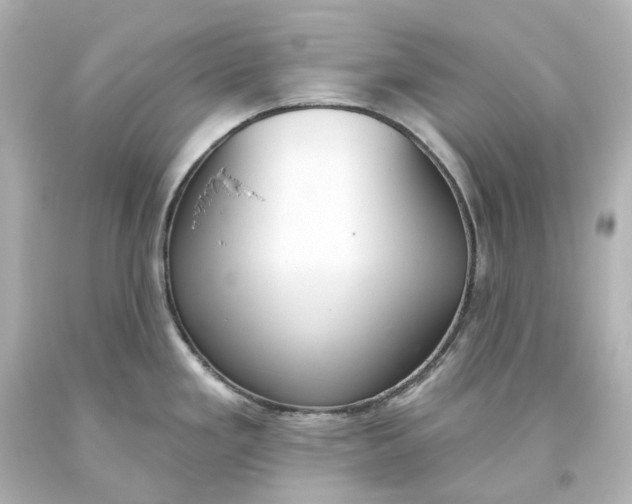 X0000093621293200710291218