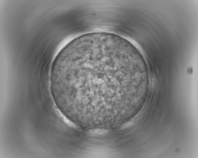 X0000093621294200710291218