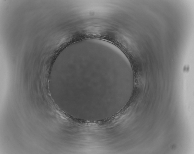 X0000093621297200710291217