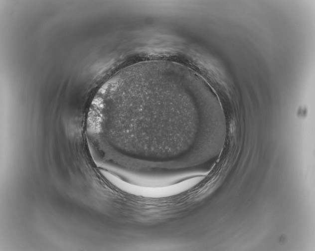 X0000093621300200710291217