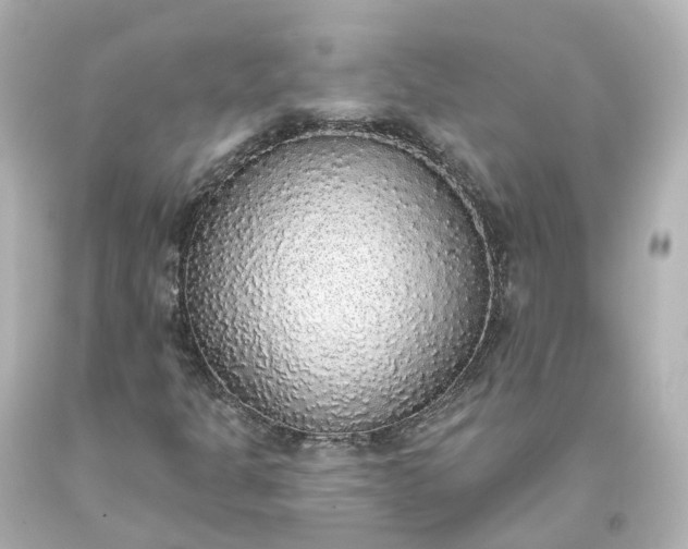 X0000093621301200710291217