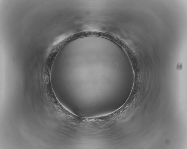 X0000093621303200710291217