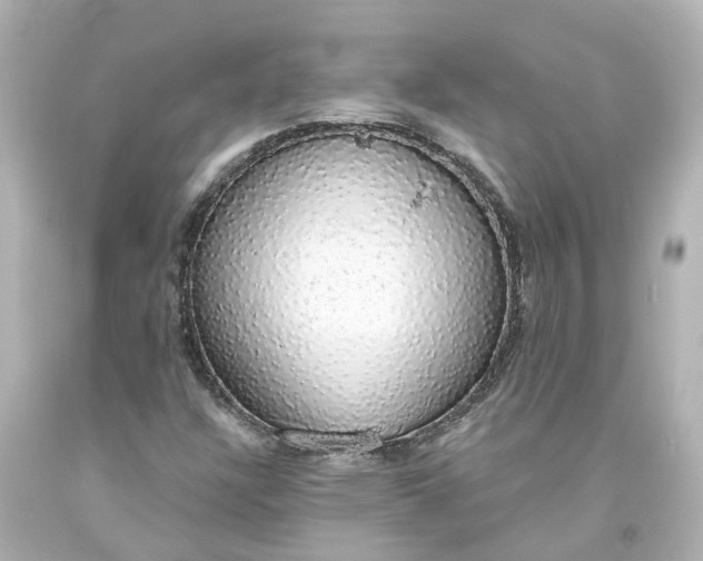 X0000093621304200710291217