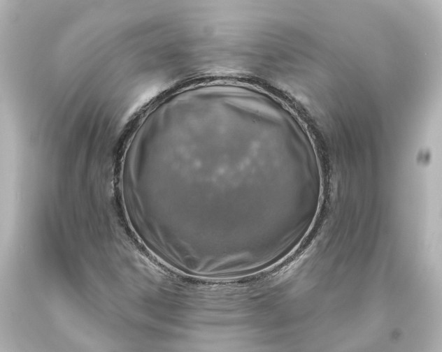 X0000093621306200710291217